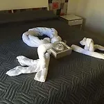 Alojamento de Acomodação e Pequeno-almoço Cuscino E Cornetto