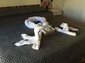 住宿加早餐酒店 Cuscino E Cornetto